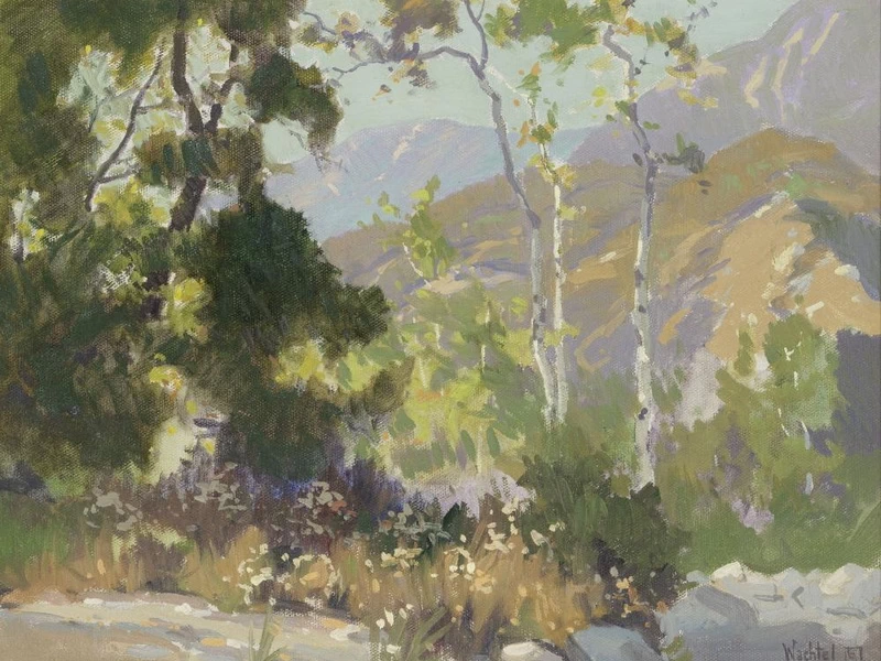 1864-Elmer Wachtel - Arroyo della California